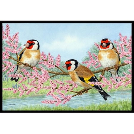 Carolines Treasures ASA2202MAT European Goldfinch Indoor Or Outdoor Mat; 18 X 27